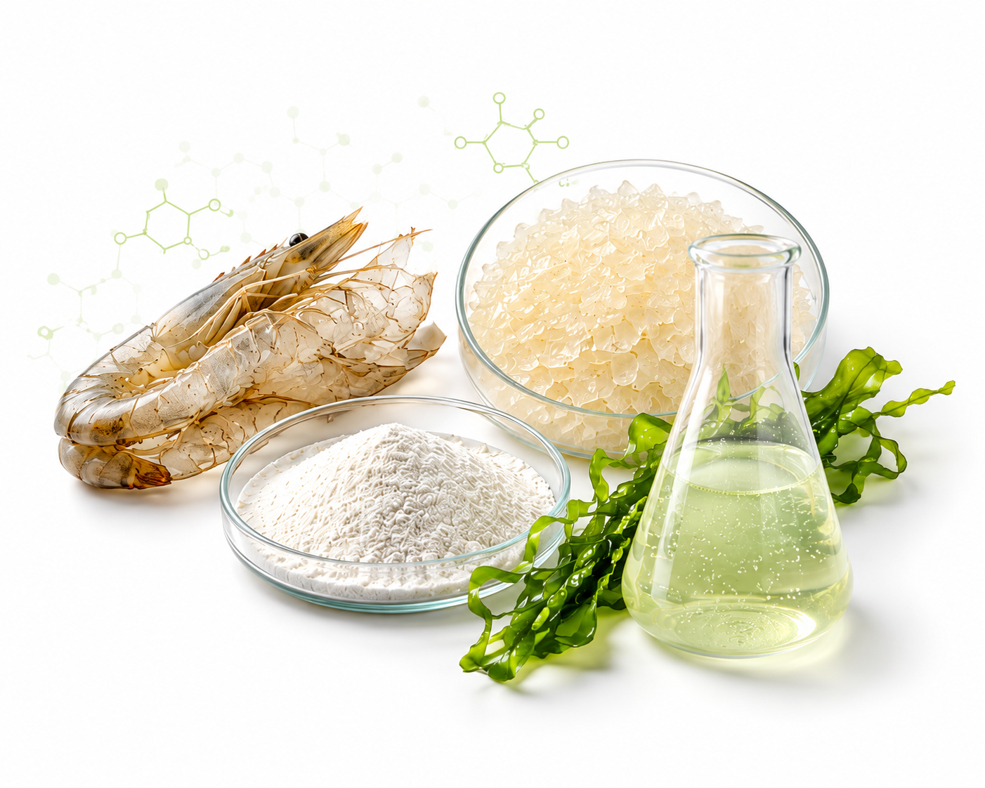 Marine Biopolymer
