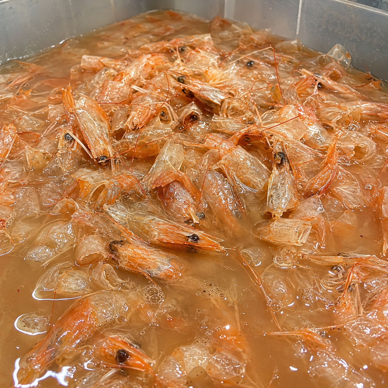 Shrimp Shell Waste